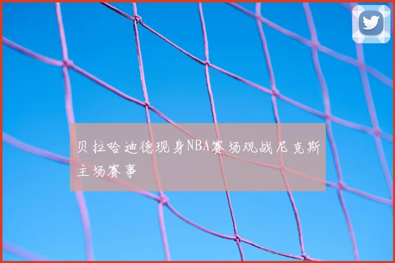 贝拉哈迪德现身NBA赛场观战尼克斯主场赛事