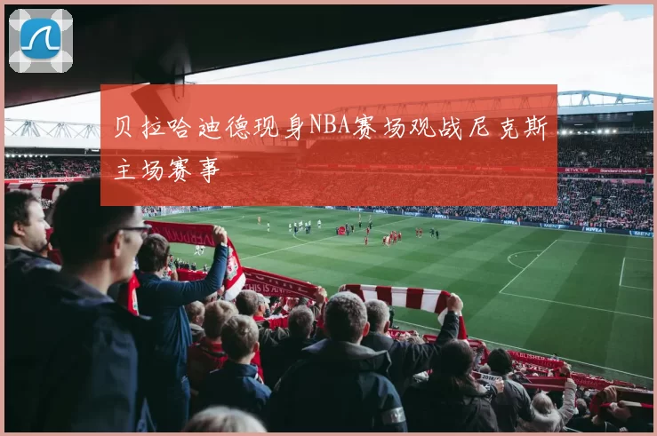 贝拉哈迪德现身NBA赛场观战尼克斯主场赛事