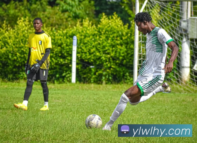 乐竞官方网站 - 乐竞lejing(中国)服务体系